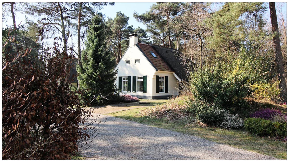 Freistehendes Ferienhaus De Witte Bergen 69