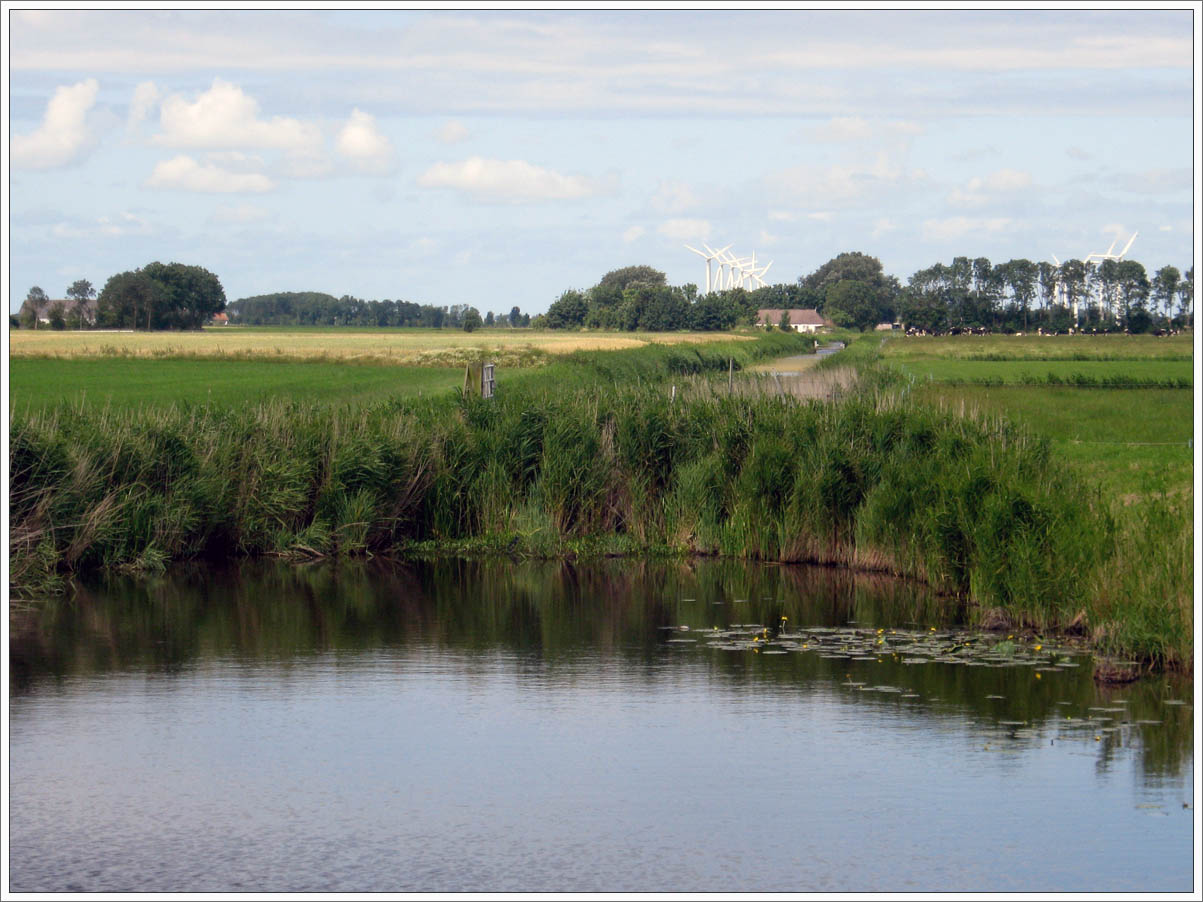 Berlikum was voor de inpolderng van de Middelzee (13e eeuw) een vissers- en handelsplaats. 