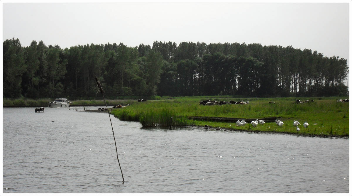 Lauwersmeer