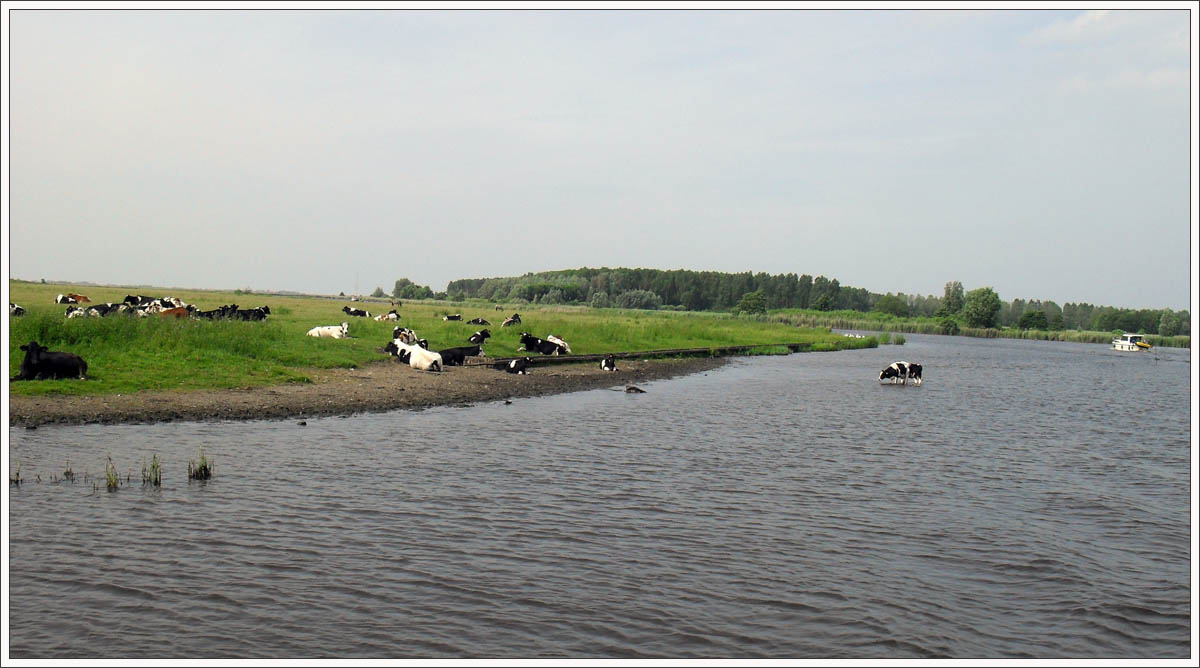 Lauwersmeer