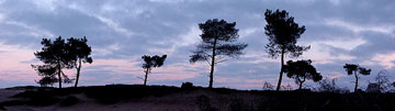 In Zuidwest Drenthe en aangrenzend Friesland ligt een bijzonder natuurgebied: Nationaal Park Drents-Friese Wold.